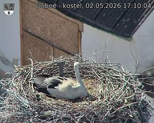 preload
