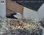 Capi_Dubne_20260502_172003.jpg