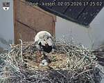 Capi_Dubne_20260502_172502.jpg