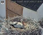 Capi_Dubne_20260502_173003.jpg