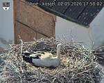 Capi_Dubne_20260502_175002.jpg