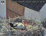 Capi_Dubne_20260502_175503.jpg