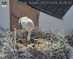 Capi_Dubne_20260502_180003.jpg