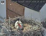 Capi_Dubne_20260502_181003.jpg