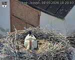 Capi_Dubne_20260502_182003.jpg