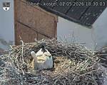 Capi_Dubne_20260502_183003.jpg