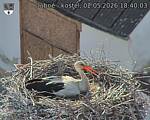 Capi_Dubne_20260502_184003.jpg