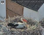 Capi_Dubne_20260502_184502.jpg