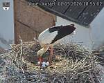 Capi_Dubne_20260502_185503.jpg