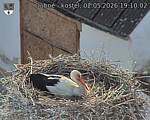 Capi_Dubne_20260502_191002.jpg