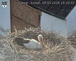 Capi_Dubne_20260502_192002.jpg