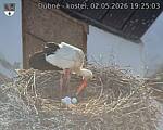 Capi_Dubne_20260502_192503.jpg