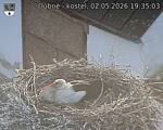 Capi_Dubne_20260502_193503.jpg