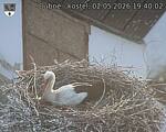 Capi_Dubne_20260502_194002.jpg