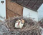 Capi_Dubne_20260502_201002.jpg