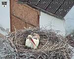 Capi_Dubne_20260502_202003.jpg