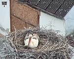 Capi_Dubne_20260502_202502.jpg