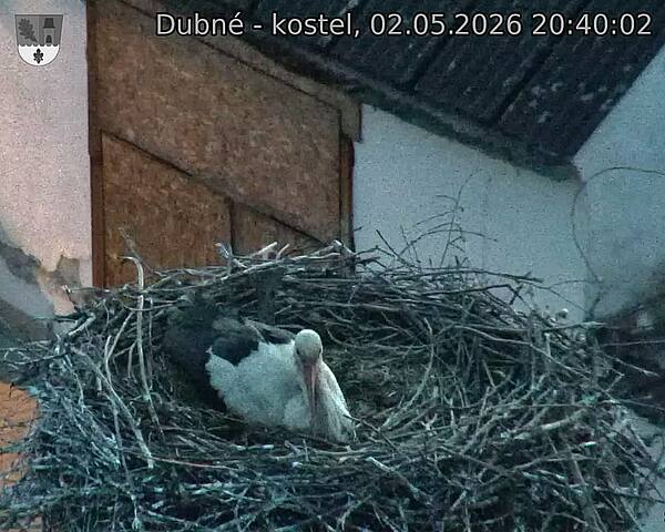 Capi_Dubne_20260502_204002.jpg (1350&nbsp;x&nbsp;1080)