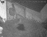 Capi_Dubne_20260502_210502.jpg