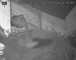 Capi_Dubne_20260502_215503.jpg