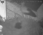 Capi_Dubne_20260502_223502.jpg
