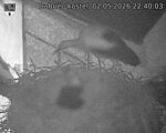 Capi_Dubne_20260502_224003.jpg