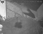 Capi_Dubne_20260502_224502.jpg