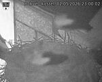 Capi_Dubne_20260502_230002.jpg