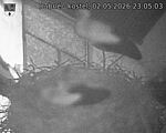 Následující