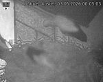 Capi_Dubne_20260503_000503.jpg