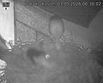 Capi_Dubne_20260503_003002.jpg