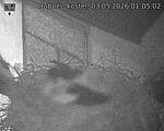 Capi_Dubne_20260503_010502.jpg
