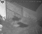 Capi_Dubne_20260503_011002.jpg