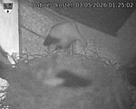 Capi_Dubne_20260503_012502.jpg