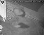 Capi_Dubne_20260503_013503.jpg