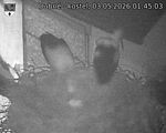 Capi_Dubne_20260503_014503.jpg