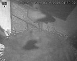 Capi_Dubne_20260503_015002.jpg