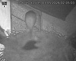 Capi_Dubne_20260503_020503.jpg