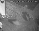 Capi_Dubne_20260503_021503.jpg