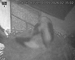 Capi_Dubne_20260503_023502.jpg