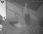 Capi_Dubne_20260503_024503.jpg