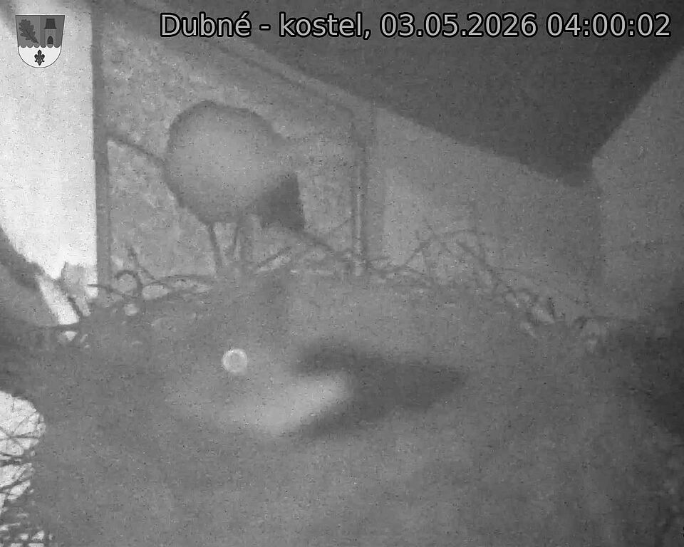 preload