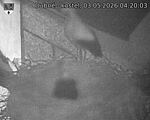 Capi_Dubne_20260503_042003.jpg