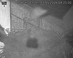 Capi_Dubne_20260503_042502.jpg