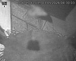 Capi_Dubne_20260503_043003.jpg