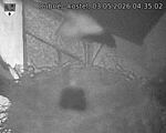 Capi_Dubne_20260503_043502.jpg