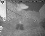 Capi_Dubne_20260503_044502.jpg