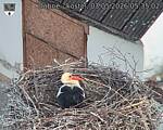 Capi_Dubne_20260503_053502.jpg