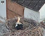 Capi_Dubne_20260503_054003.jpg