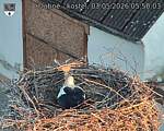 Capi_Dubne_20260503_055003.jpg